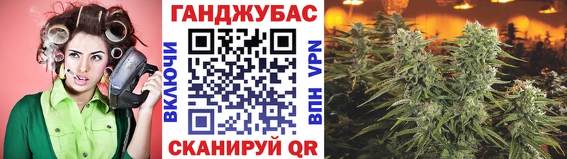 Шишки марихуана индика  Магадан 